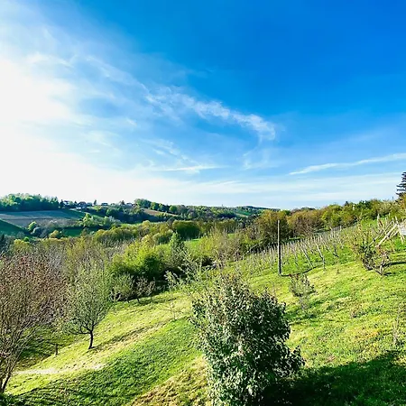 Papa Franks House Tatil Evi Ptuj
