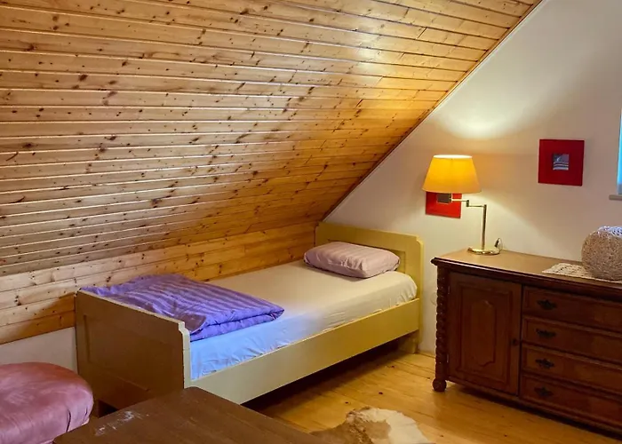 Papa Franks House Ptuj