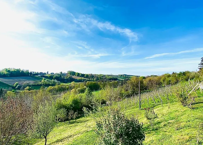 Papa Franks House Nyaraló Potony